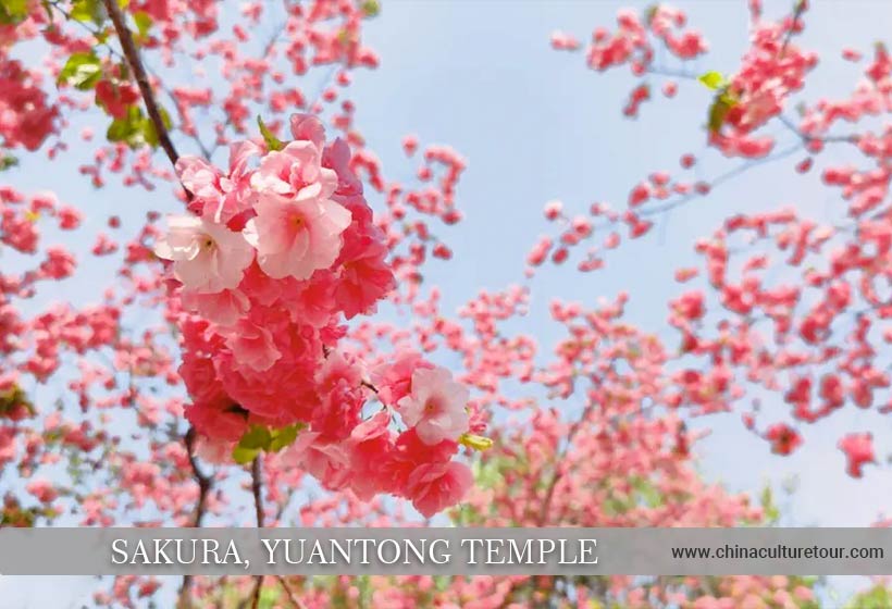 Kunming Itinerary