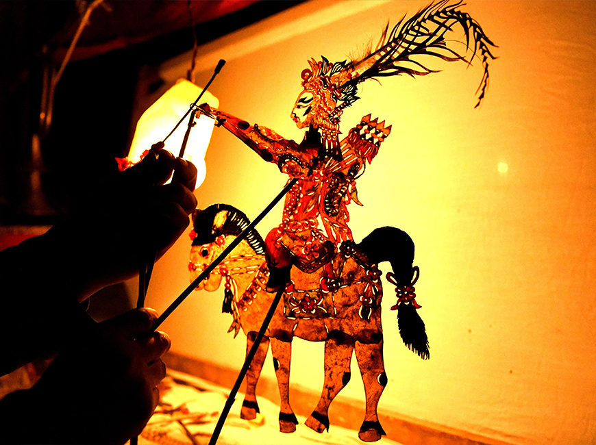Shadow Show