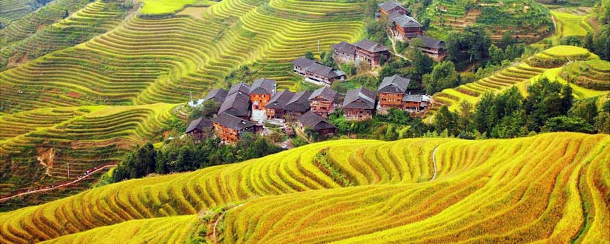 Longji Rice Terraces