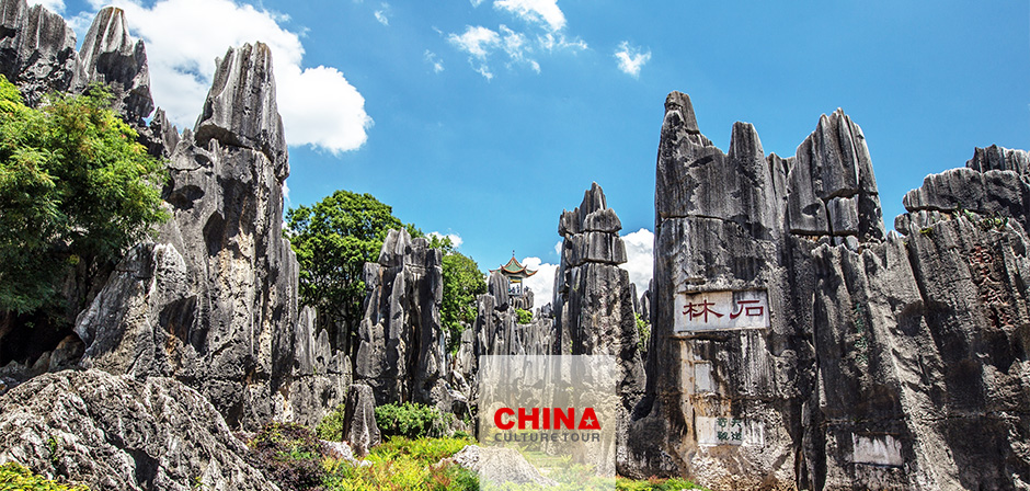 Stone Forest