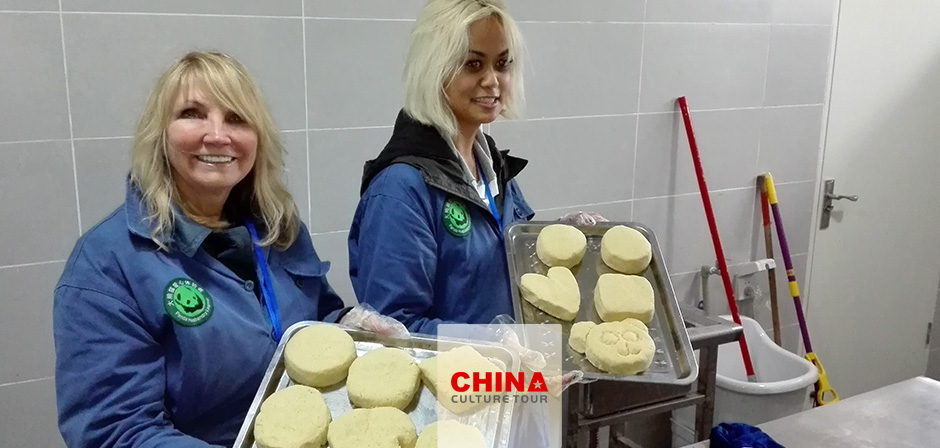 Panda volunteer program