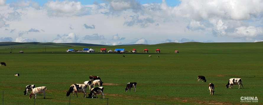 Genghis Khan's Mausoleum