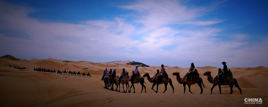 Camel riding in Ordos