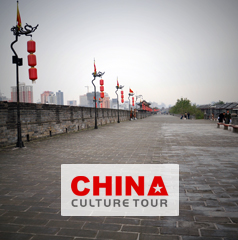 Family China Tours