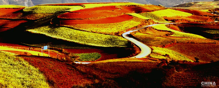 Dongchuan Red Land