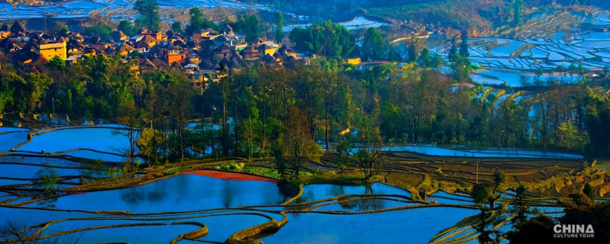 Yuanyang