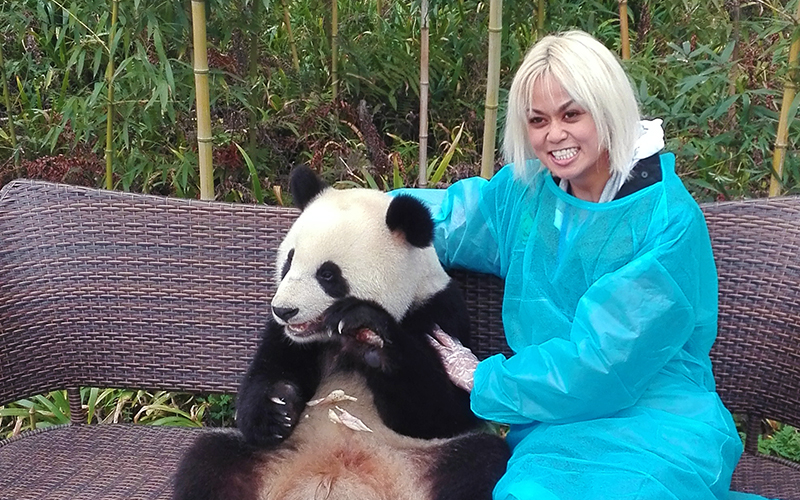 Panda Keeper
