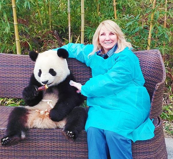 China Panda Tours