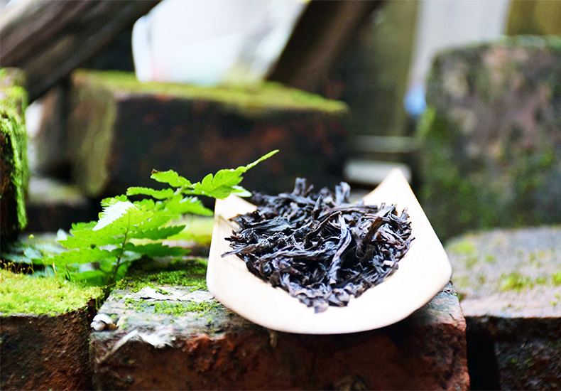 Fujian Tea Tours