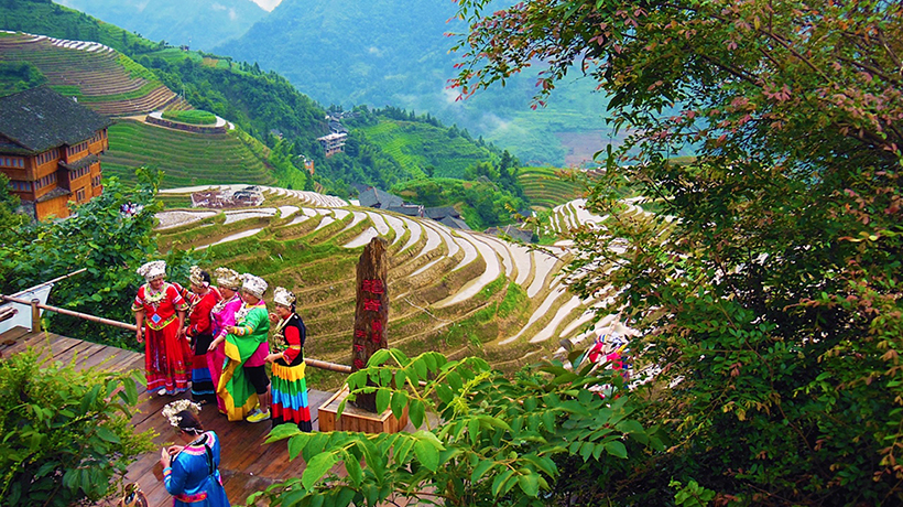 Longji Terraced Fields