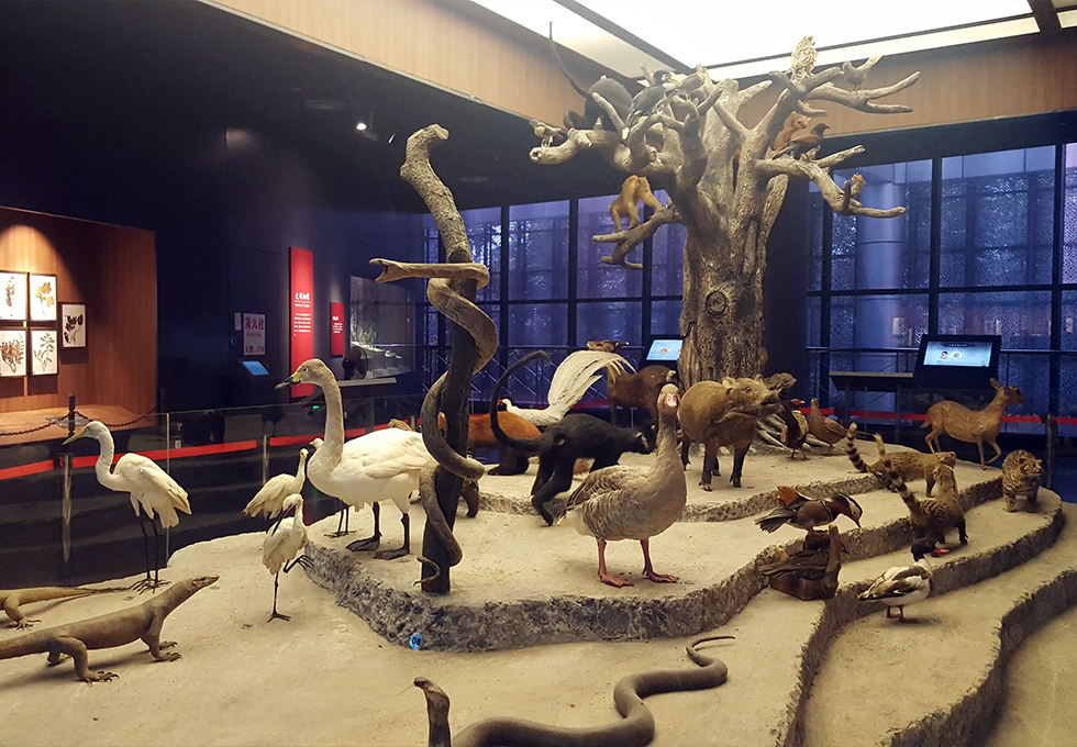 Museum
