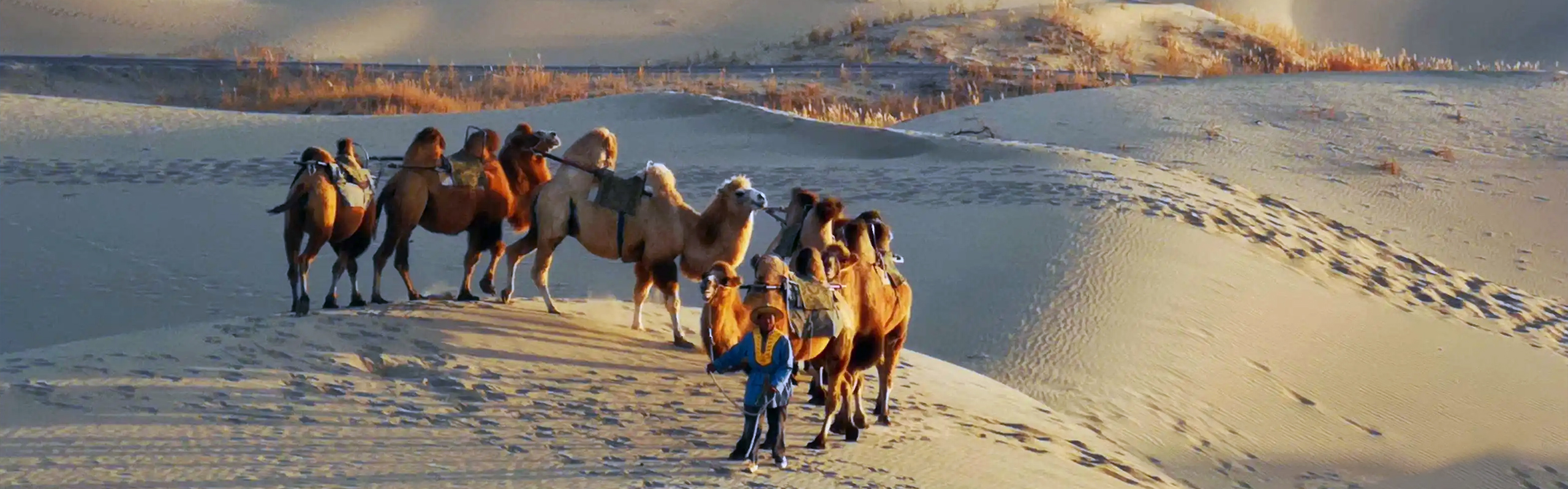 China Silk Road Heritage Tour
