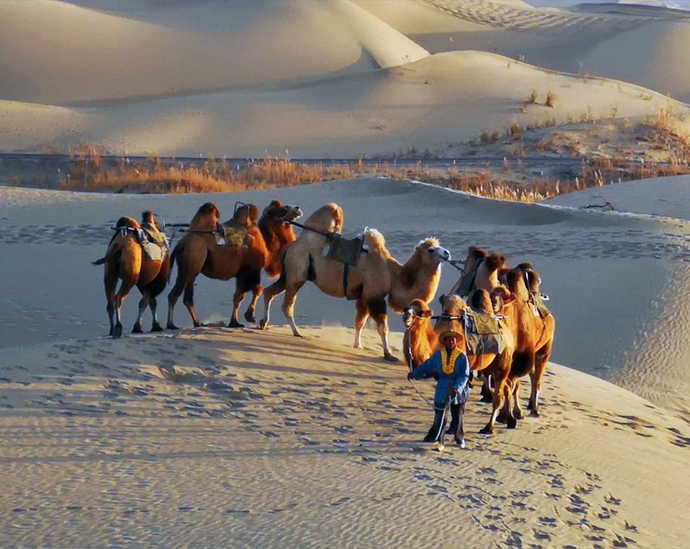 China Silk Road Heritage Tour