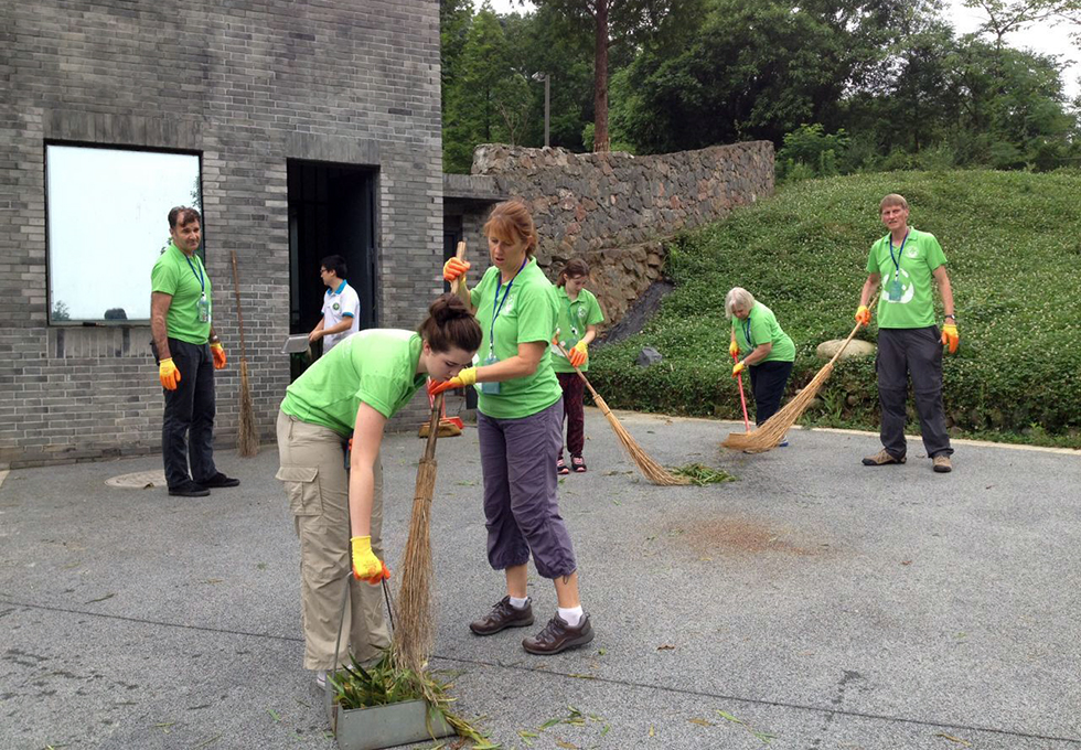 Panda Volunteer
