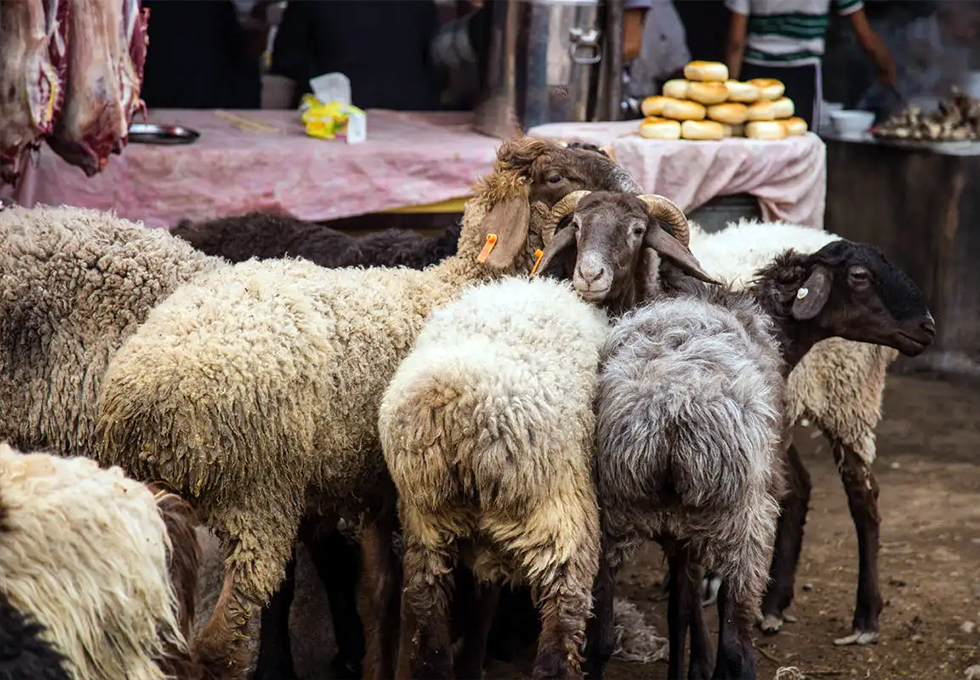 Sunday Bazaar
