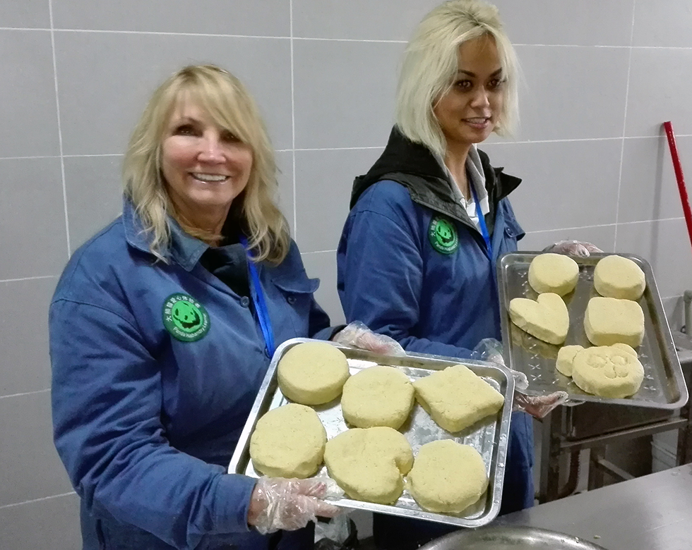 Panda Volunteer