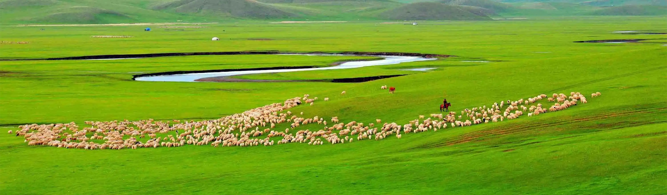 Inner Mongolia Grassland Tours