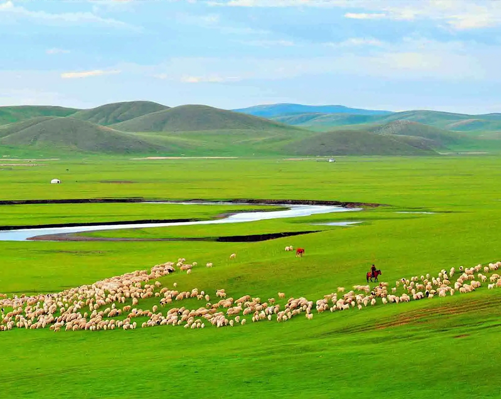 Inner Mongolia Grassland Tours