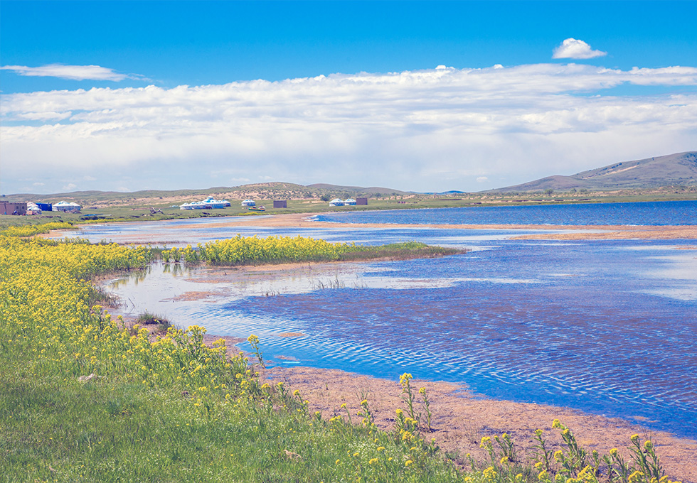 Spring in Inner Mongolia