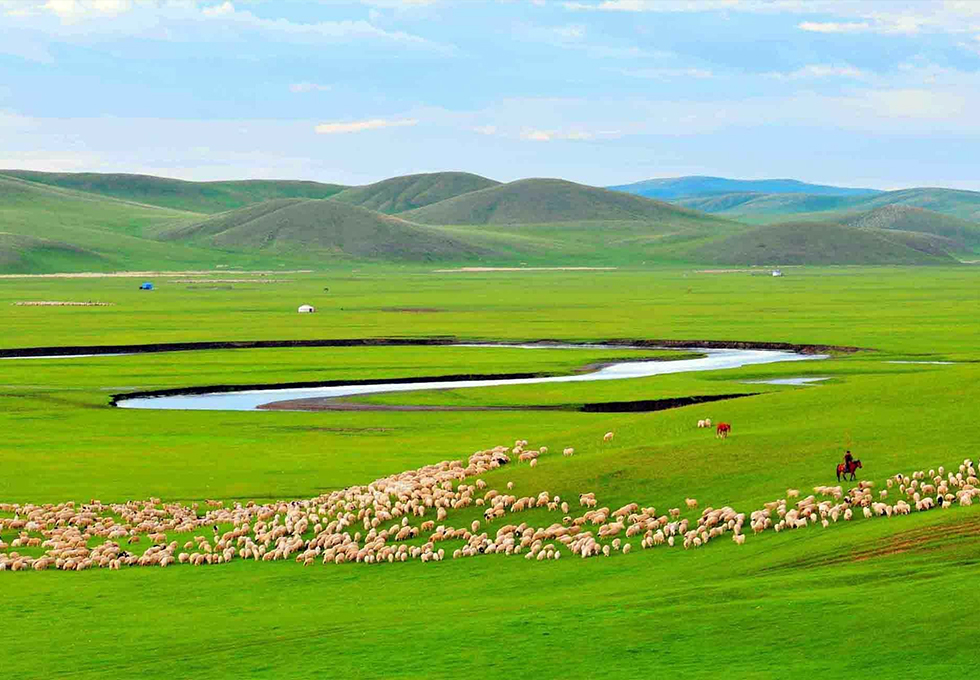 Hulunbuir Grassland