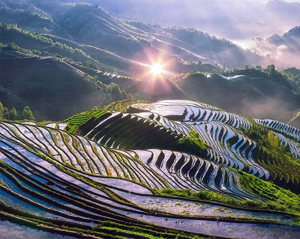 Longji Terraced Rice Fields