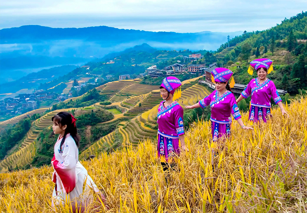 Longsheng Terraced Fields