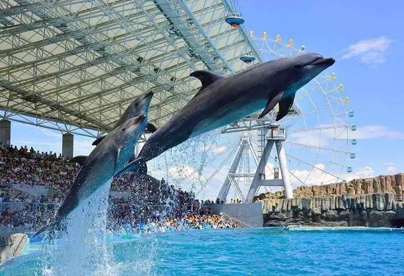 Hong Kong Ocean Park Travel Guide