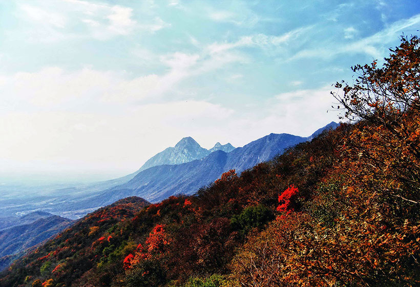 best time to visit Luoyang