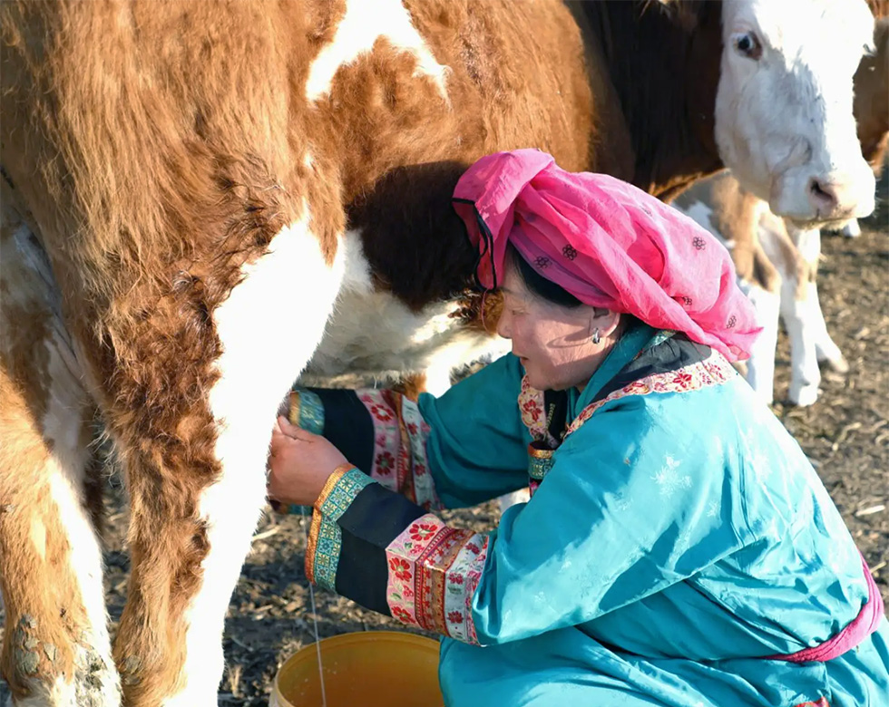 Top Inner Mongolia activities
