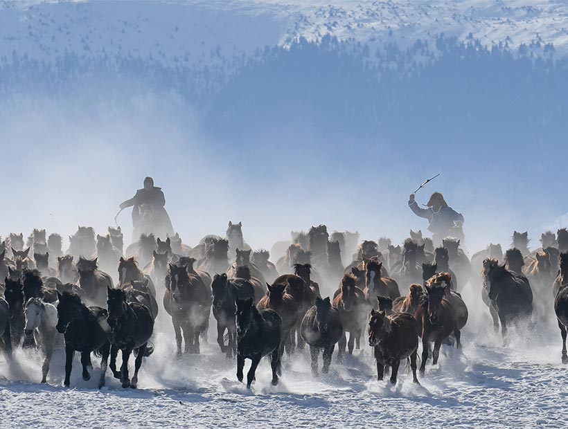 Xinjiang Road Trip