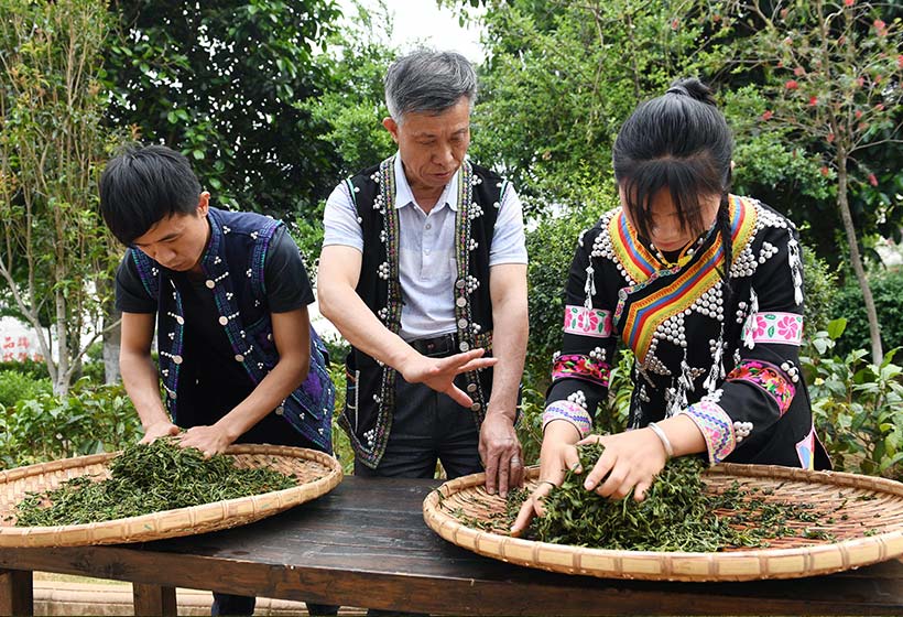 Yunnan Activity
