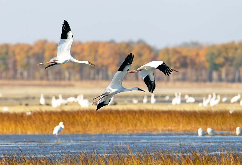 7 Days Kashgar Itinerary