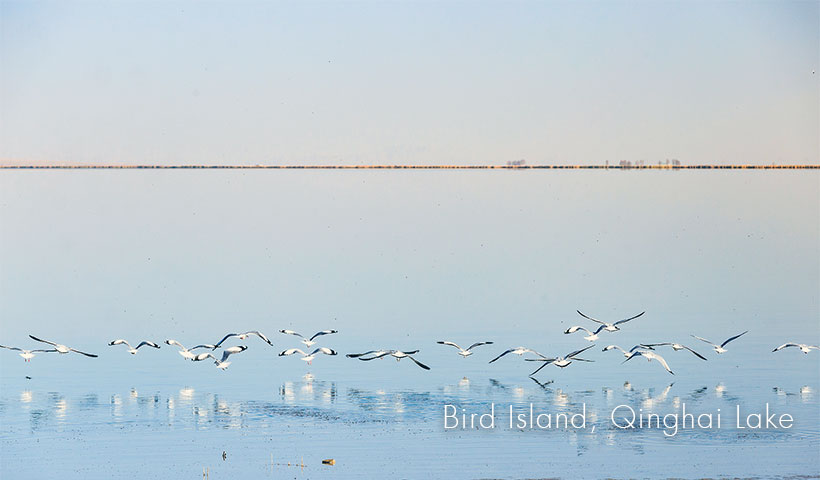 Qinghai Lake