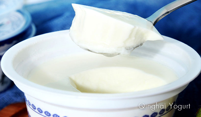 Qinghai Yogurt