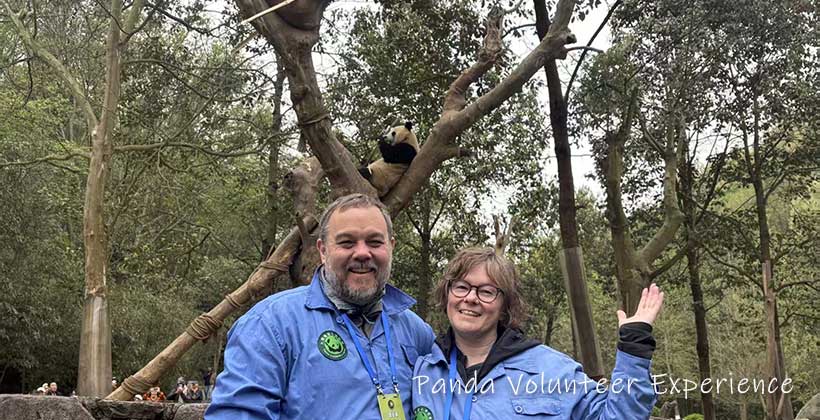 5 Days Chongqing Chengdu Itinerary